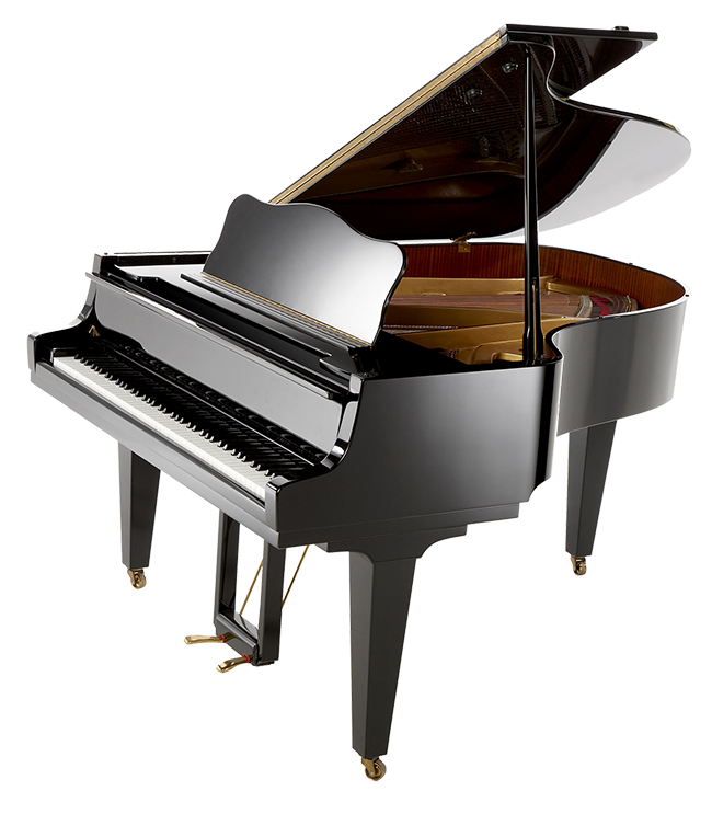Learn the piano with private lessons